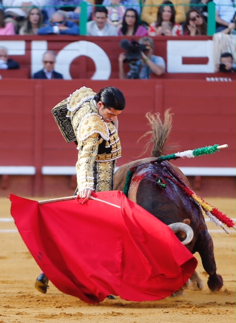 Jerez de la Frontera - Feria del Caballo - Viernes 11 de mayo de 2018