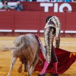 Jerez de la Frontera - Feria del Caballo - Viernes 11 de mayo de 2018