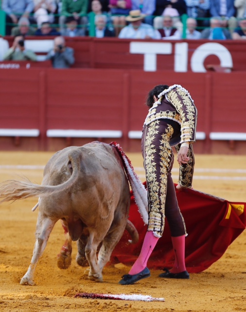 Jerez de la Frontera - Feria del Caballo - Viernes 11 de mayo de 2018