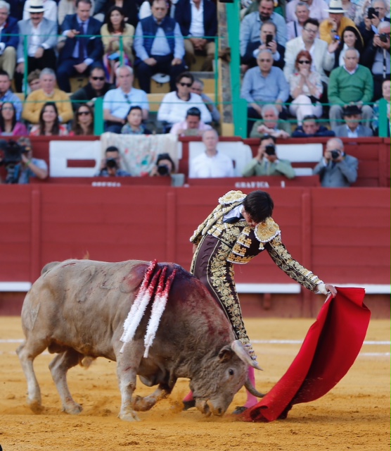 Jerez de la Frontera - Feria del Caballo - Viernes 11 de mayo de 2018