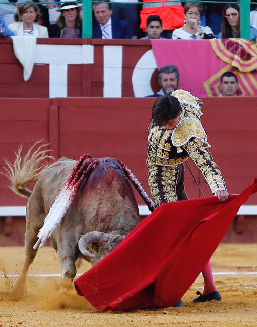 Jerez de la Frontera - Feria del Caballo - Viernes 11 de mayo de 2018