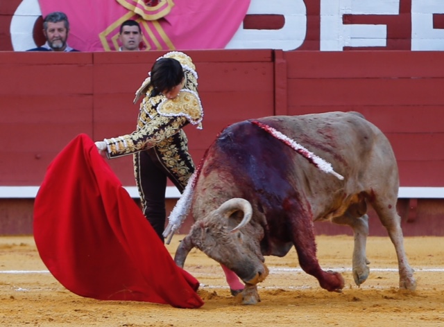 Jerez de la Frontera - Feria del Caballo - Viernes 11 de mayo de 2018