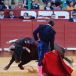 Jerez de la Frontera - Feria del Caballo - Viernes 11 de mayo de 2018