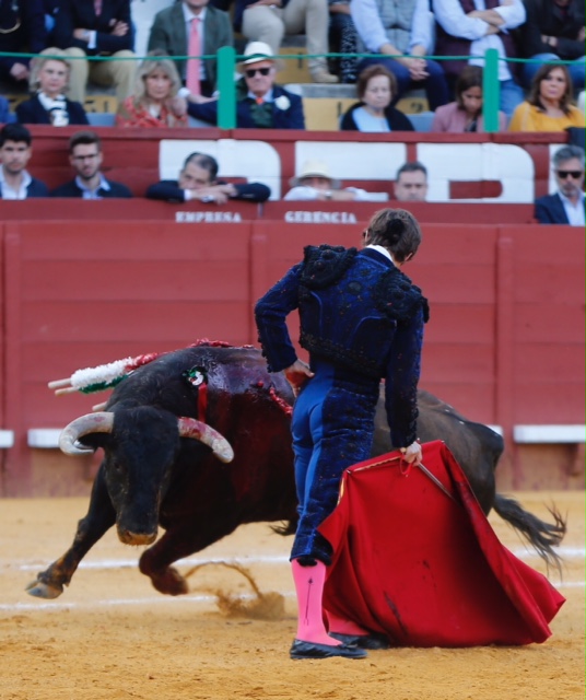 Jerez de la Frontera - Feria del Caballo - Viernes 11 de mayo de 2018