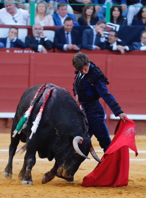 Jerez de la Frontera - Feria del Caballo - Viernes 11 de mayo de 2018