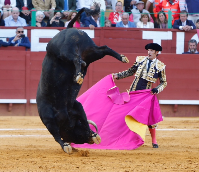 Jerez de la Frontera - Feria del Caballo - Viernes 11 de mayo de 2018