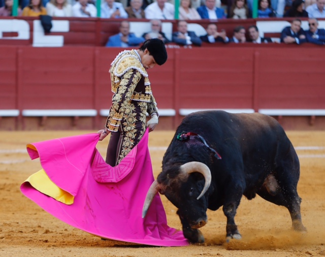 Jerez de la Frontera - Feria del Caballo - Viernes 11 de mayo de 2018
