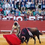 Jerez de la Frontera - Feria del Caballo - Viernes 11 de mayo de 2018