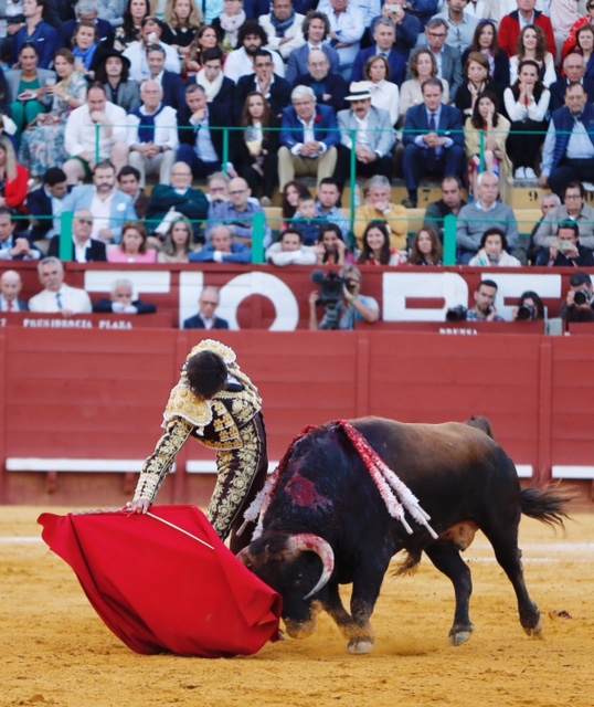 Jerez de la Frontera - Feria del Caballo - Viernes 11 de mayo de 2018