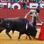 Jerez de la Frontera - Feria del Caballo - Viernes 11 de mayo de 2018