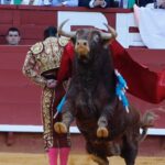Jerez de la Frontera - Corrida de toros - Reaparición de Morante - Sábado 12 de mayo de 2018