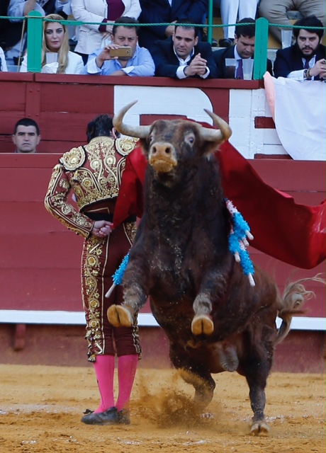 Jerez de la Frontera - Corrida de toros - Reaparición de Morante - Sábado 12 de mayo de 2018
