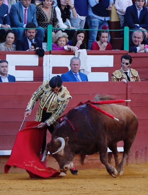 Jerez de la Frontera - Corrida de toros - Reaparición de Morante - Sábado 12 de mayo de 2018