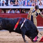 Madrid - Feria de San Isidro - Novillada picada - Sábado 26 de mayo de 2018