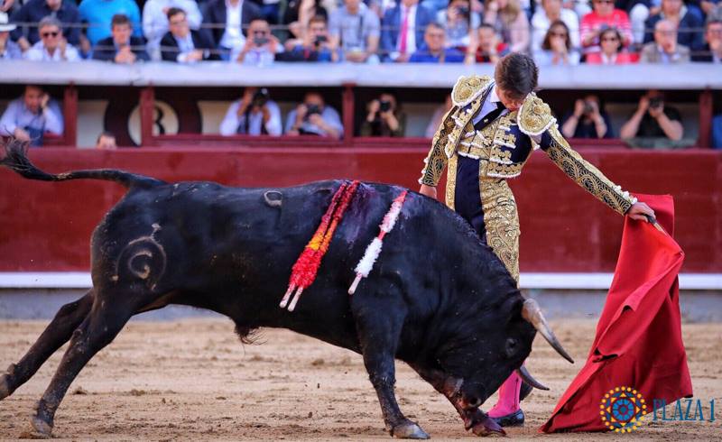 Madrid - Feria de San Isidro - Novillada picada - Sábado 26 de mayo de 2018