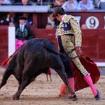 Madrid - Feria de San Isidro - Novillada picada - Sábado 26 de mayo de 2018