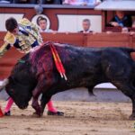 Madrid - Feria de San Isidro - Novillada picada - Sábado 26 de mayo de 2018