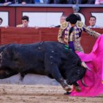 Madrid - Feria de San Isidro - Novillada picada - Sábado 26 de mayo de 2018