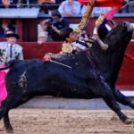 Madrid - Feria de San Isidro - Novillada picada - Sábado 26 de mayo de 2018