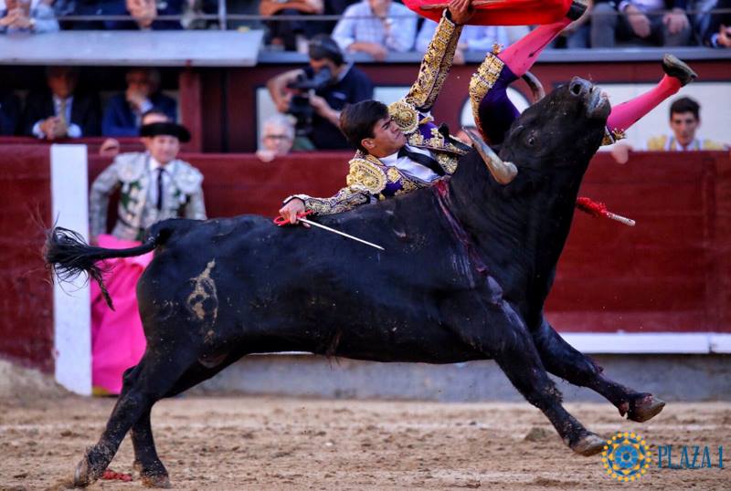 Madrid - Feria de San Isidro - Novillada picada - Sábado 26 de mayo de 2018