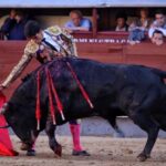 Madrid - Feria de San Isidro - Novillada picada - Sábado 26 de mayo de 2018