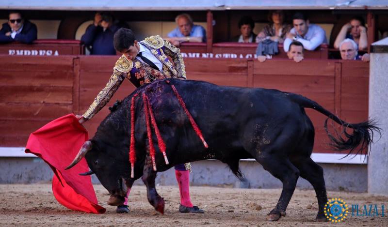 Madrid - Feria de San Isidro - Novillada picada - Sábado 26 de mayo de 2018