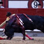 Madrid - Feria de San Isidro - Novillada picada - Sábado 26 de mayo de 2018