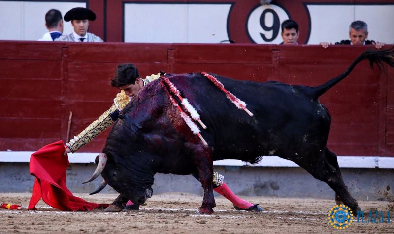 Madrid - Feria de San Isidro - Novillada picada - Sábado 26 de mayo de 2018