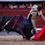 Madrid - Feria de San Isidro - Novillada picada - Sábado 26 de mayo de 2018