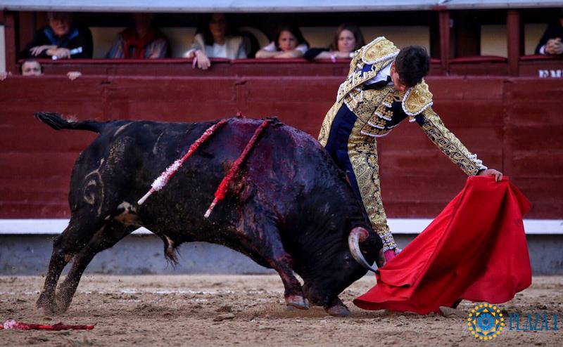 Madrid - Feria de San Isidro - Novillada picada - Sábado 26 de mayo de 2018