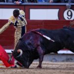 Madrid - Feria de San Isidro - Novillada picada - Sábado 26 de mayo de 2018