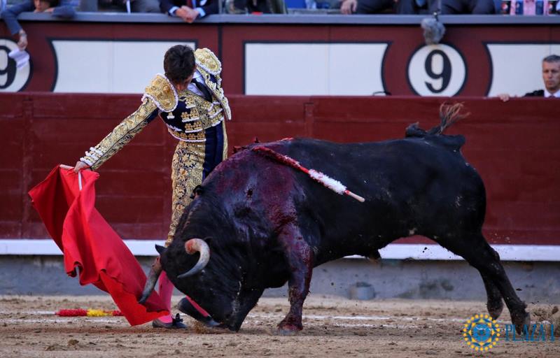 Madrid - Feria de San Isidro - Novillada picada - Sábado 26 de mayo de 2018