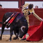 Madrid - Feria de San Isidro - Novillada picada - Sábado 26 de mayo de 2018