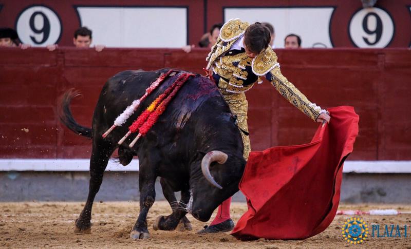 Madrid - Feria de San Isidro - Novillada picada - Sábado 26 de mayo de 2018