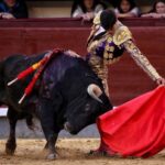 Madrid - Feria de San Isidro - Novillada picada - Sábado 26 de mayo de 2018