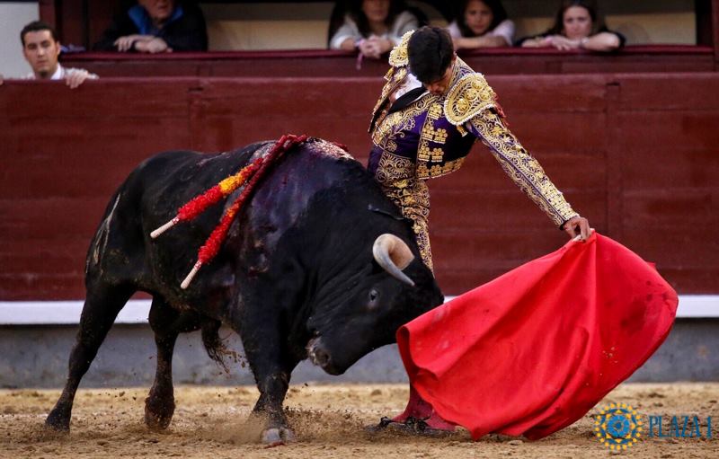 Madrid - Feria de San Isidro - Novillada picada - Sábado 26 de mayo de 2018