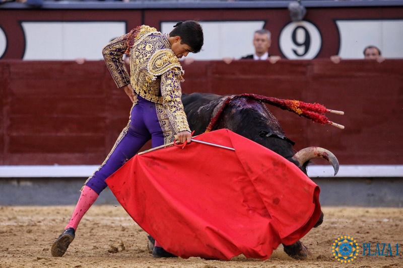 Madrid - Feria de San Isidro - Novillada picada - Sábado 26 de mayo de 2018