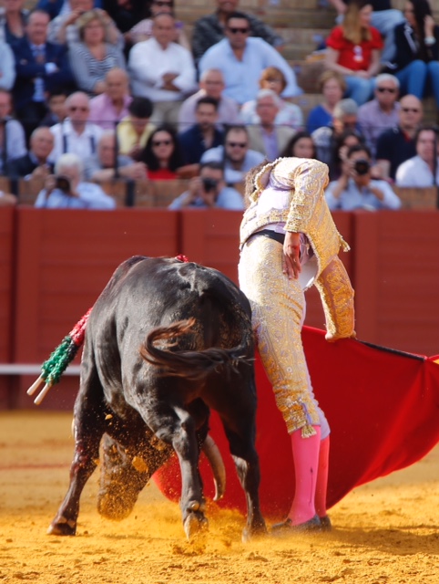 Sevilla - Novillada picada - Domingo 27 de mayo de 2018
