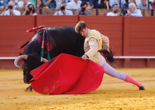 Sevilla - Novillada picada - Domingo 27 de mayo de 2018