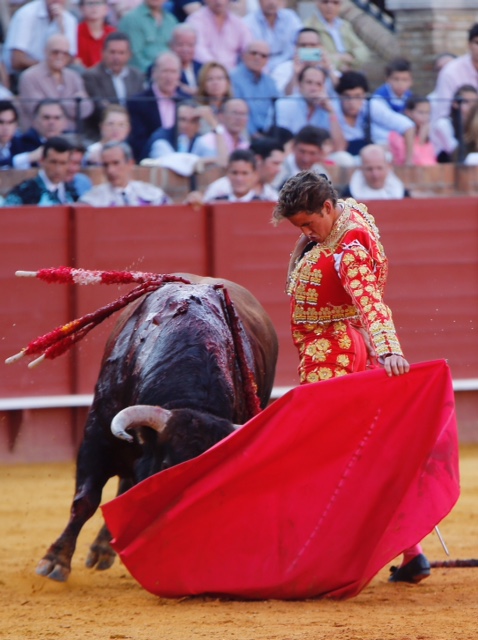 Sevilla - Novillada picada - Domingo 27 de mayo de 2018