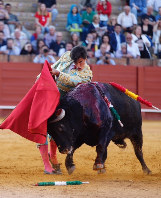 Sevilla - Novillada picada - Domingo 27 de mayo de 2018