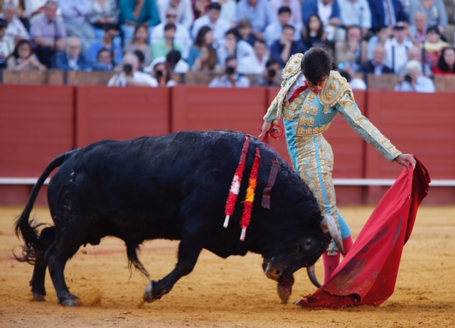 Sevilla - Novillada picada - Domingo 27 de mayo de 2018