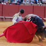 Sevilla - Novillada picada - Domingo 27 de mayo de 2018