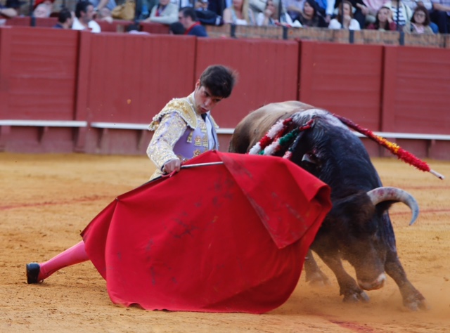 Sevilla - Novillada picada - Domingo 27 de mayo de 2018