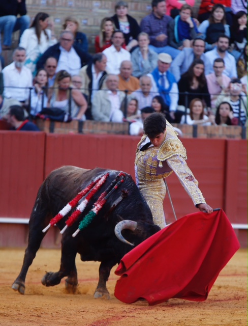 Sevilla - Novillada picada - Domingo 27 de mayo de 2018