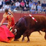 Sevilla - Novillada picada - Domingo 27 de mayo de 2018