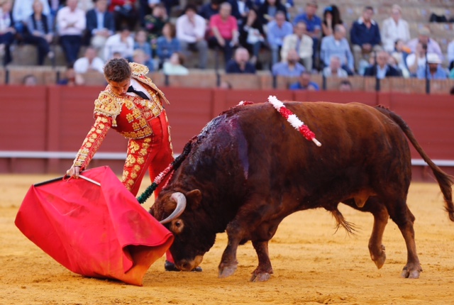 Sevilla - Novillada picada - Domingo 27 de mayo de 2018
