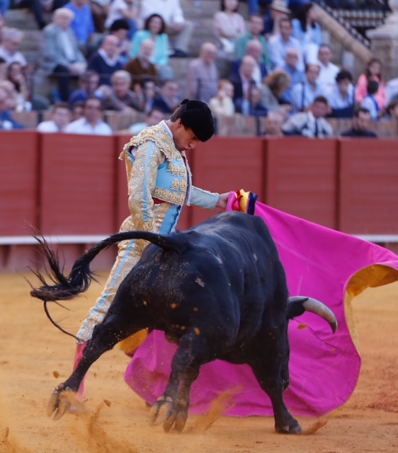 Sevilla - Novillada picada - Domingo 27 de mayo de 2018