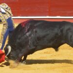 Don Benito, 5 de mayo de 2018