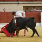 Los Barrios, 13 de mayo de 2018